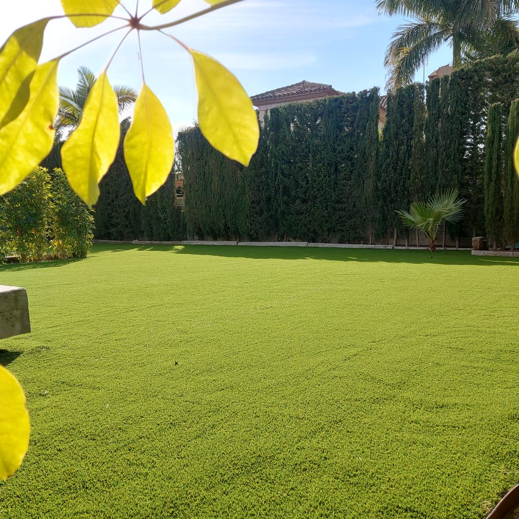 Palma Premium